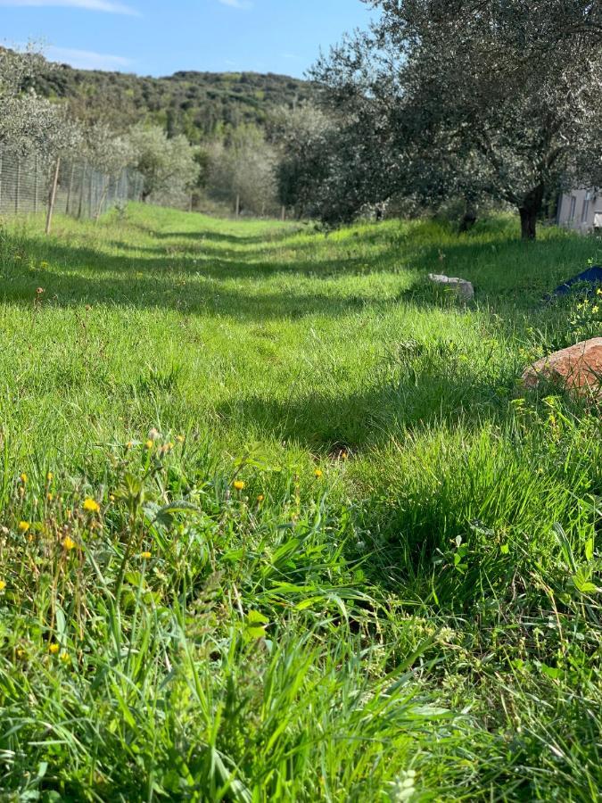 Il Giardino Degli Ulivi Hotel Rovinj Luaran gambar
