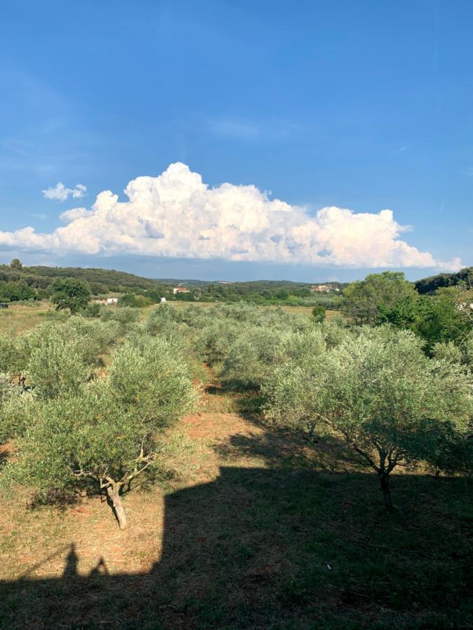 Il Giardino Degli Ulivi Hotel Rovinj Luaran gambar